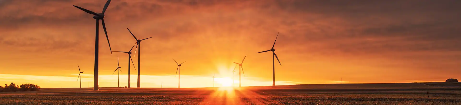 wind turbines with sun setting